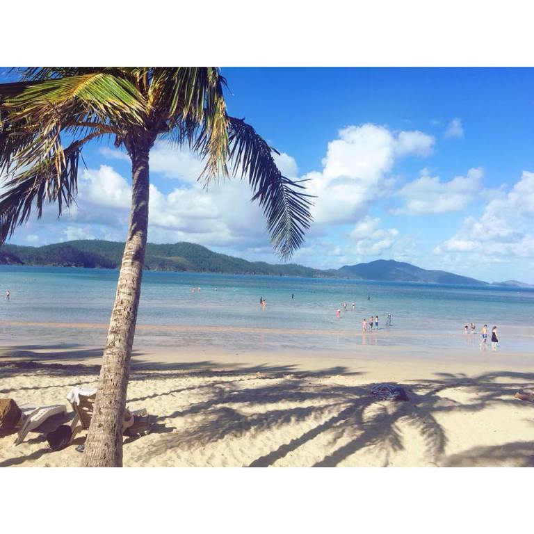 26196389_10155208307618499_7507045717241187195_n