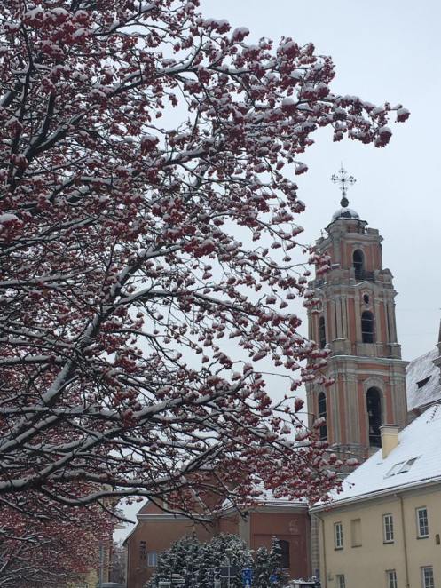 15027576_10154061990903499_8555105413948259754_n