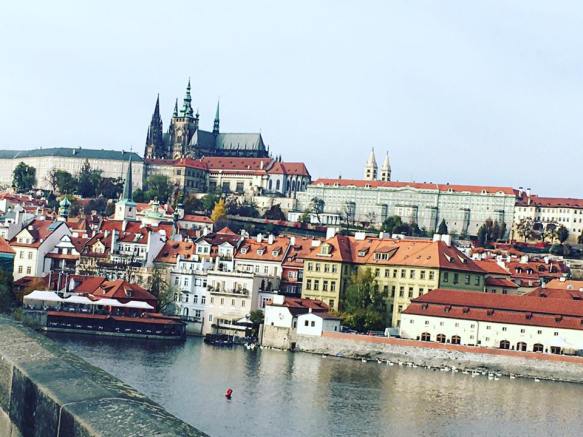 15095068_10154061965933499_6689467629402782453_n