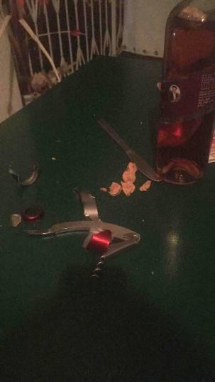 44337494_489495924890774_915703361267826688_n