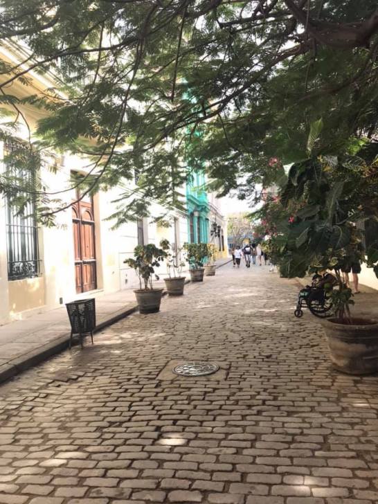 88073797_10160155460648499_2158550138044284928_n