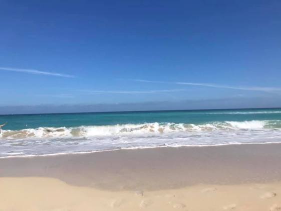 88257479_10160155470323499_8452065025106903040_n