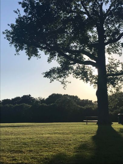 117445107_798911330917501_1024283914168817609_n