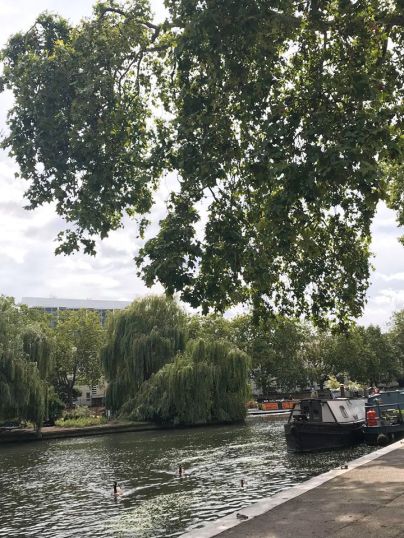 117527893_741174000054846_649772661711388172_n