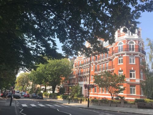 117755508_994070517681184_1311932142418013380_n