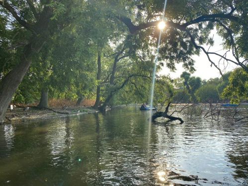 117764676_308392303768728_2228462652446064371_n